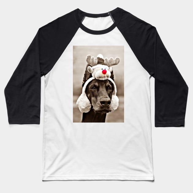 Reindeer Dog Baseball T-Shirt by DulceDulce